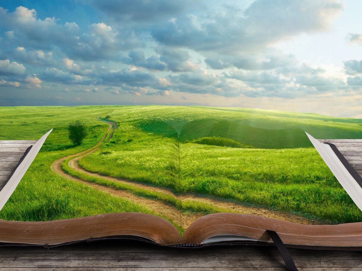 «Если вы не знаете, откуда вы пришли, вы не знаете, куда вы идете!»