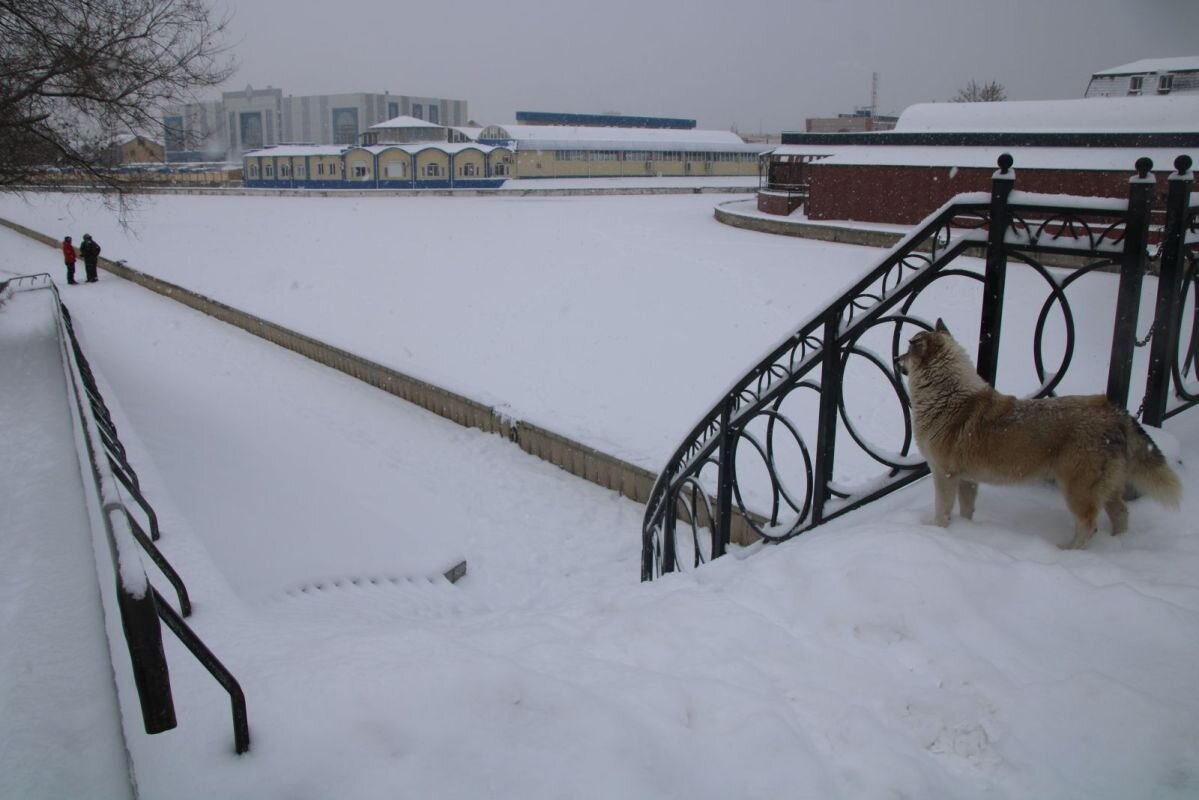 Фото: Е. Зимней.