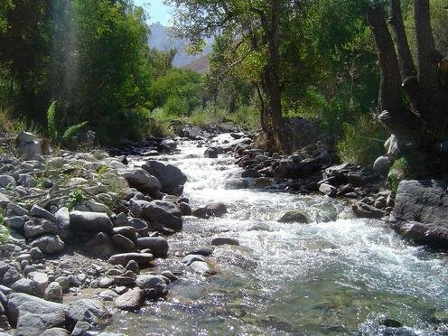 Беш-Аральский заповедник. Фото У.Мамбеталиева с сайта whc.unesco.org