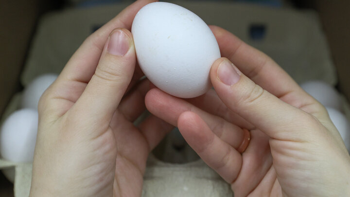 ФОТО: BULKIN SERGEY/GLOBALLOOKPRESS