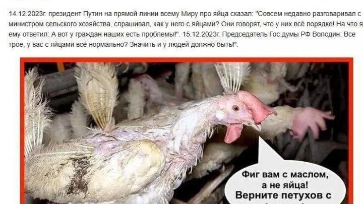 Фото: соцсети