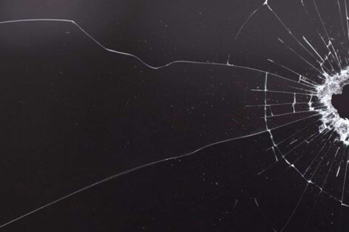    Skoda Rapid вылетела на обочину и перевернулась.