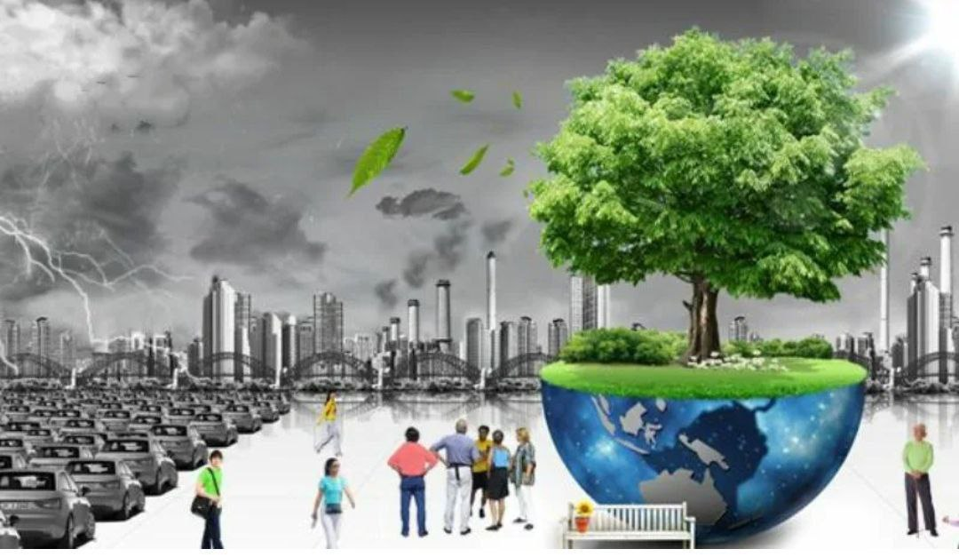 Современная экология. Окружающая среда и здоровье человека. Человек и окружающая среда. Влияние окружающей среды.