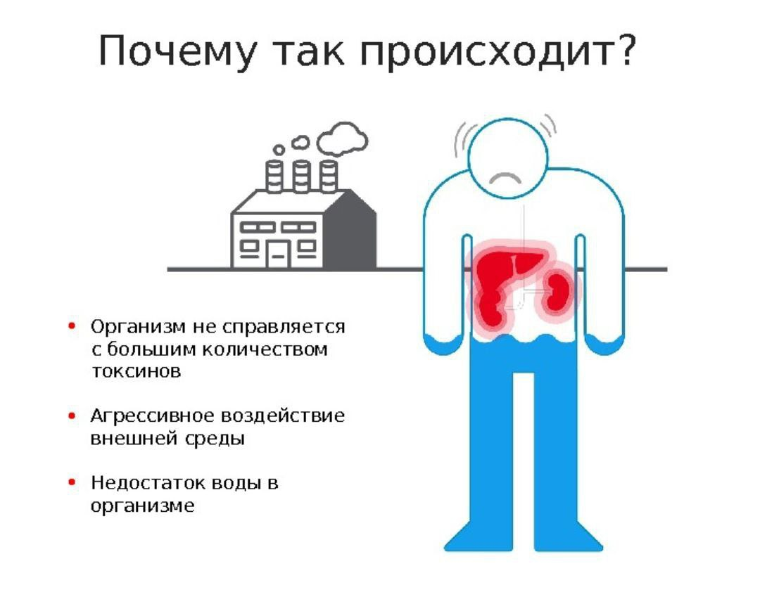Токсины вред. Влияние токсинов на организм. Почему так происходит. Причины токсинов в организме. Воздействие токсинов в организм.