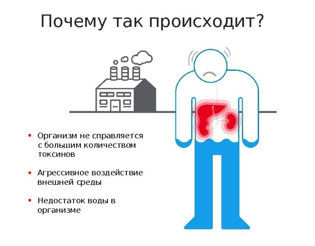 Как токсины влияют. Влияние токсинов на организм. Почему так происходит. Причины токсинов в организме. Воздействие токсинов в организм.