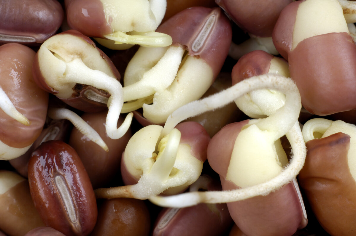    BlickwinkelLegion-Media