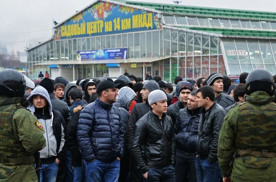Мигранты на московском рынке «Садовод» (иллюстрация из открытых источников)