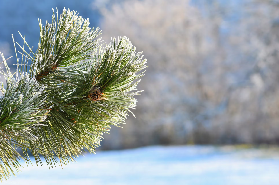 Изображение от Freepik