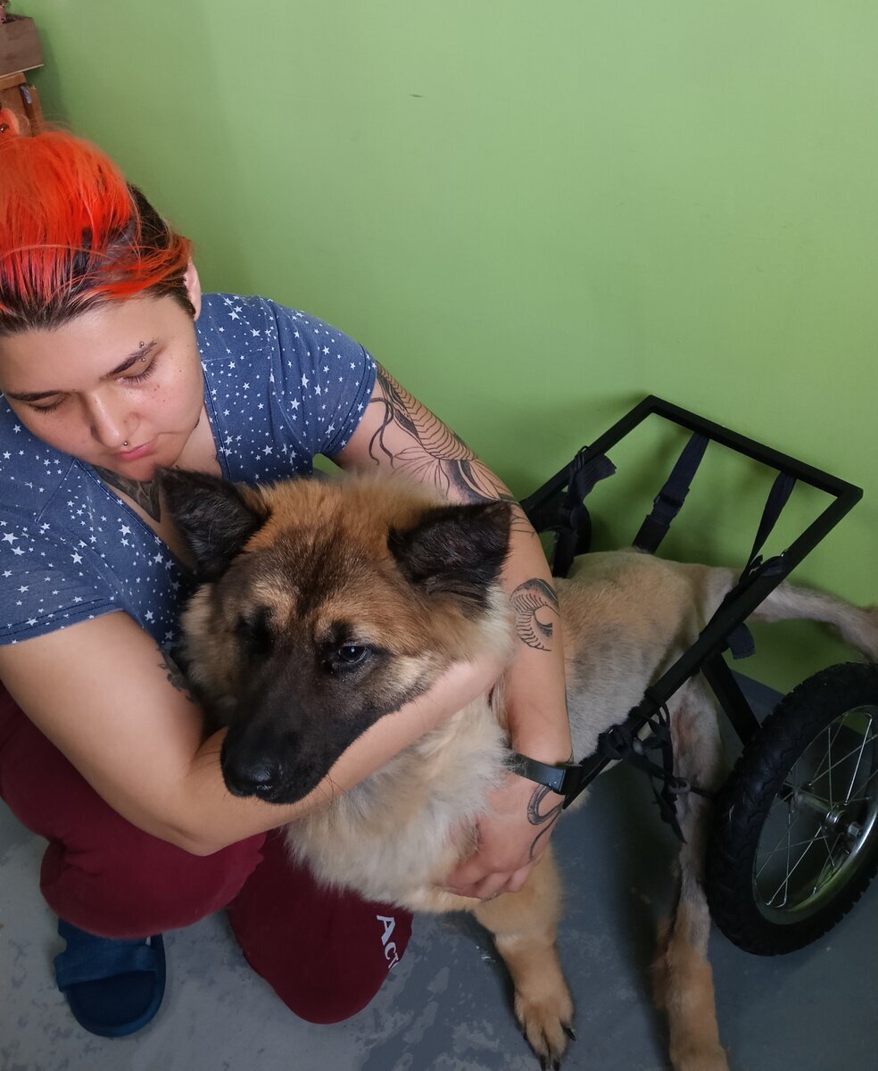 Изольда любила гулять с помощью своей коляски