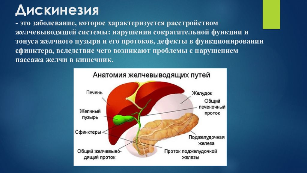 Дискинезия желчевыводящих путей