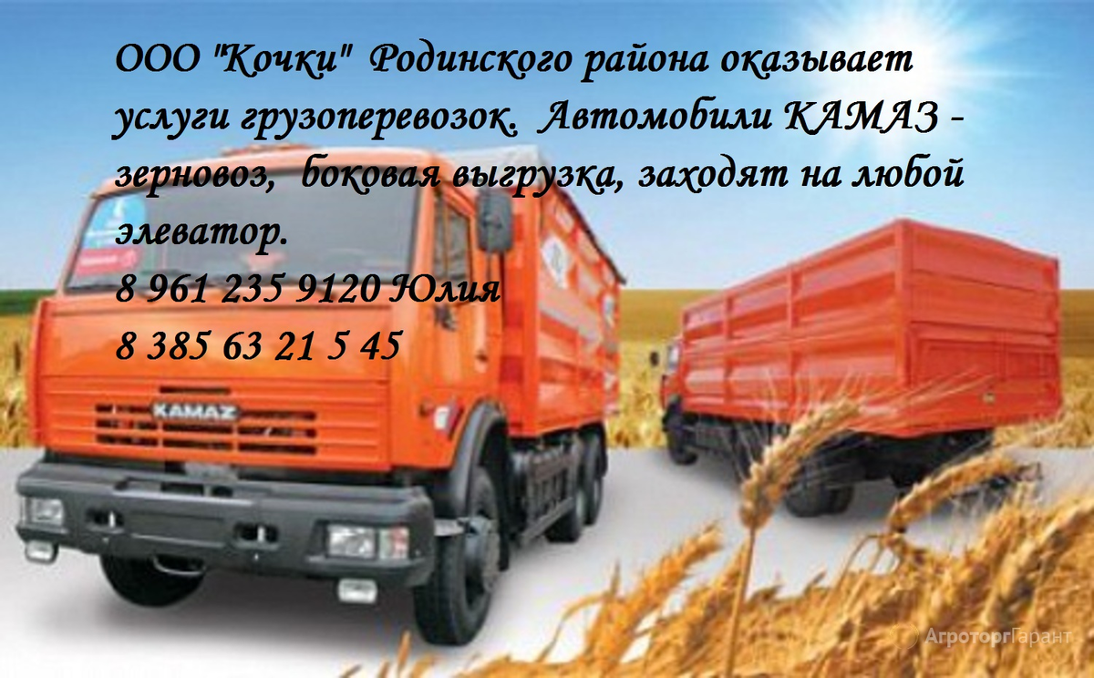 Маз тонар зерновоз. Тонар-9540 зерновоз. Разгрузка зерна на элеваторе. Камаз тонар зерновоз. Грузовой автомобиль сельское хозяйство.