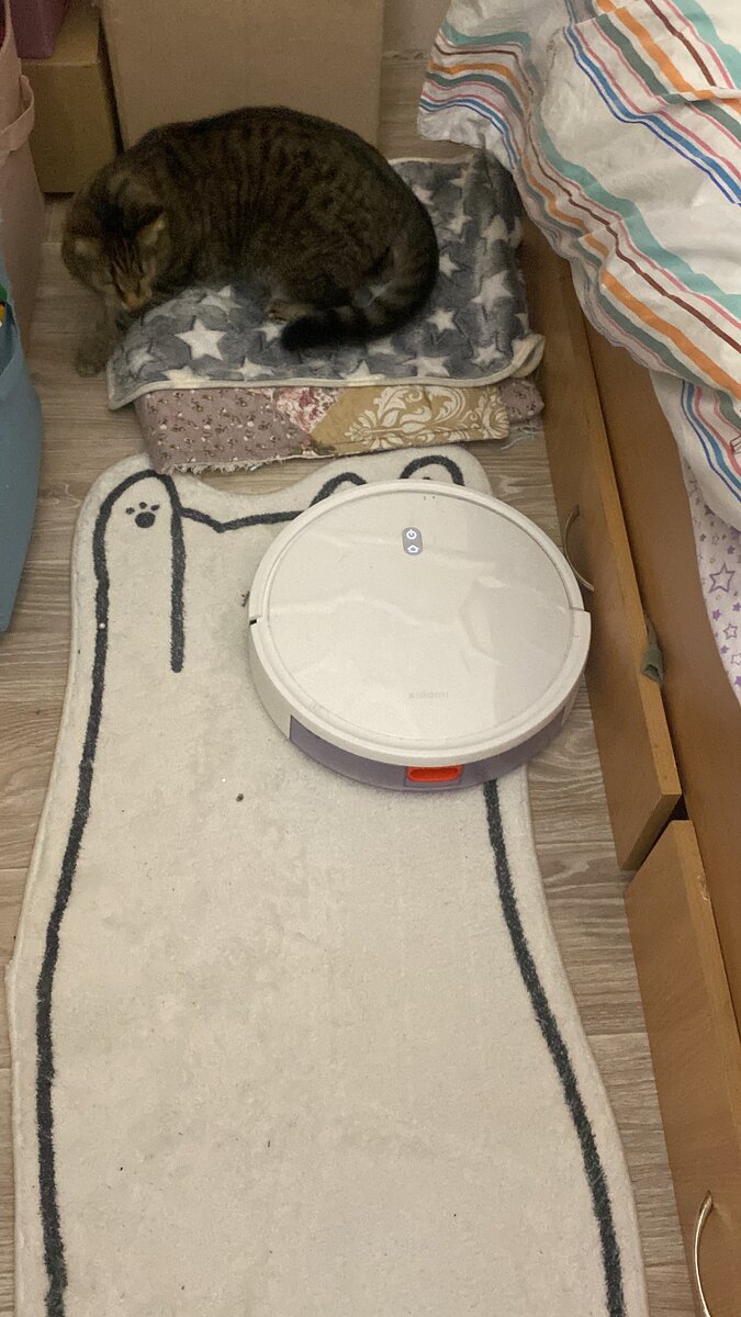 Xiaomi x10+. Робот-пылесос xiaomi dreame d9. Robot vacuum x10+. Xiaomi mijia omni robot vacuum-mop b101cn. Xiaomi truclean w10 ultra wet dry vacuum filter (2-pack).