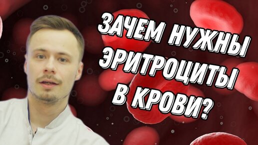 Эритроциты, почему важно знать их уровень в крови? Не допусти появление анемии.