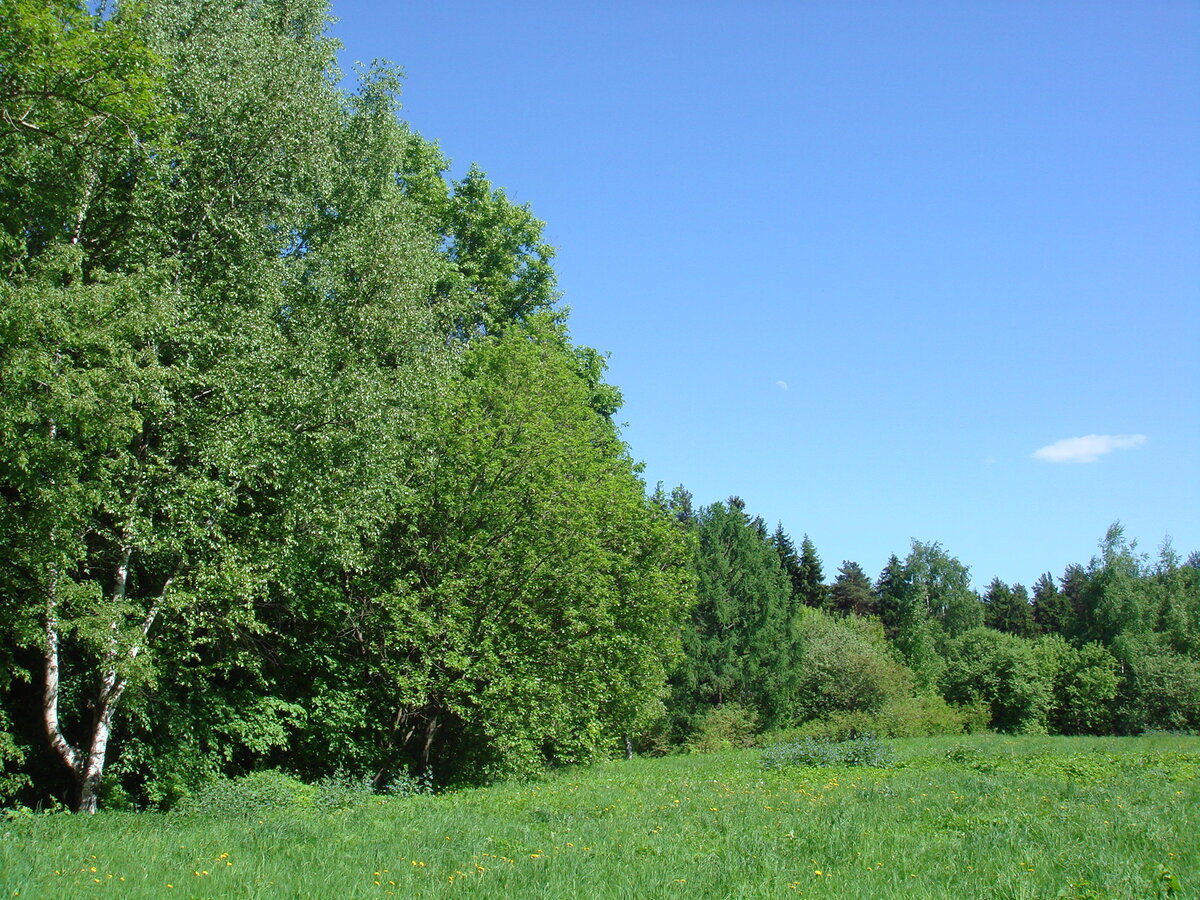 Российская природа. (Фото из личного архива)