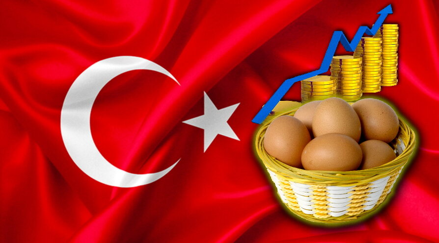 В России подорожали яйца, а в Турции подорожало всё 😅 Я приехала в Аланью в декабре 2023 года и наблюдаю за очередным ростом цен после Нового года. Они уверенно стремятся вверх.