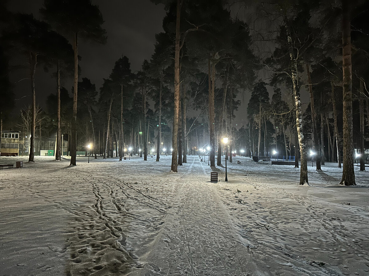 Сосенки парк в городе Александрове, Владимирская область. | АН 