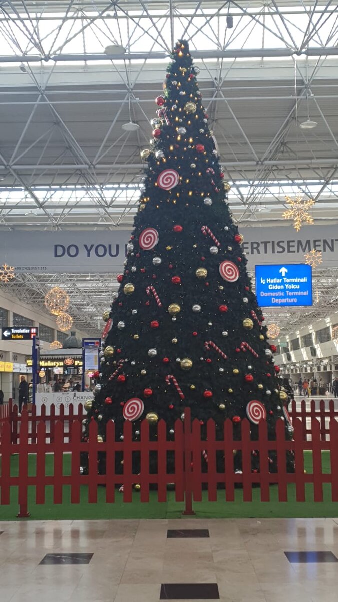 15 января, елка еще наряжена