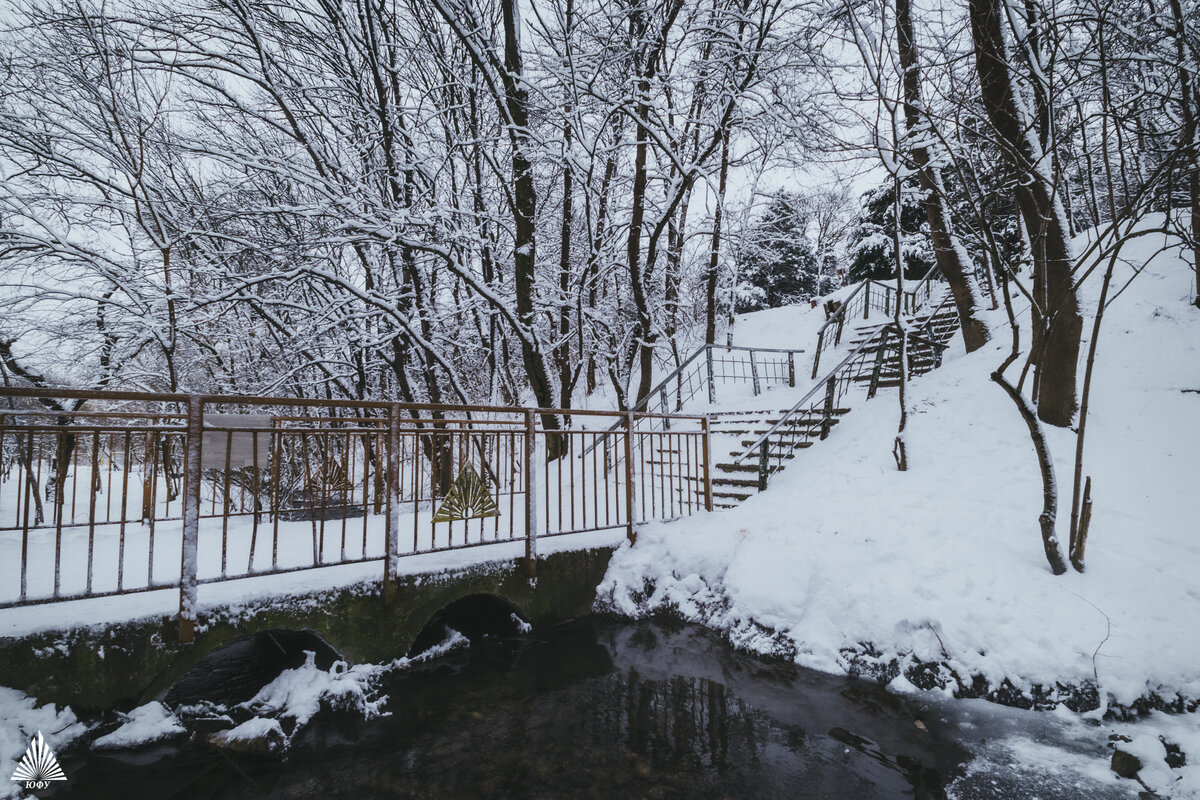 Фото: пресс-служба ЮФУ/предоставлено телеканалу Царьград 