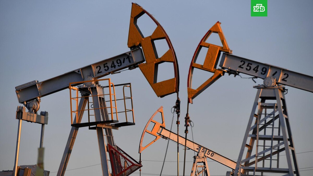    Фото: РИА Новости © 2024, Максим Богодвид