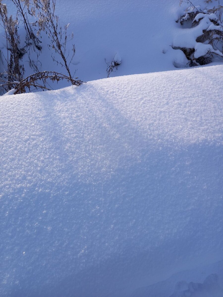 Все с чистого листа. Как сверкающий сегодня на солнце снег.