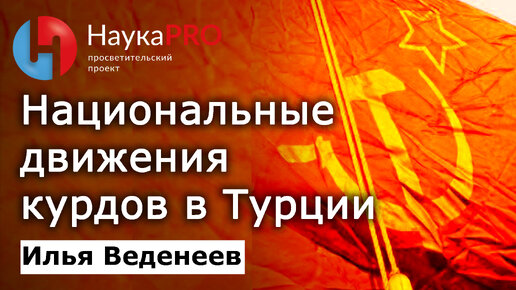 Национальные движения курдов в Турции – Илья Веденеев | Курды в Турции | История Курдистана