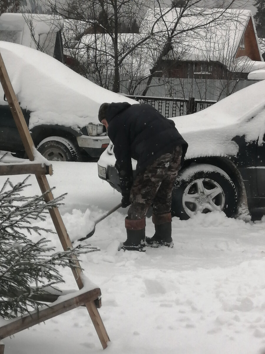 Никуда не выезжали. А муж борется со снегом. | Ни к селу,ни к городу. | Дзен