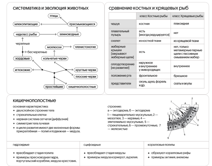 28 егэ