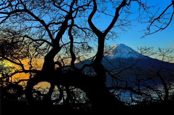Фото: Pixabay