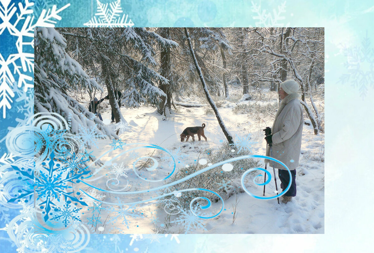 Таро для Стрельцов на будущее - pxhere.com/ru/photo/1094451