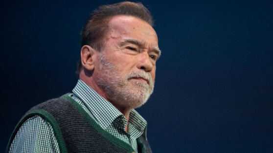    Bild: актера Арнольда Шварцнеггера задержали в аэропорту Мюнхена Богдан Герцен