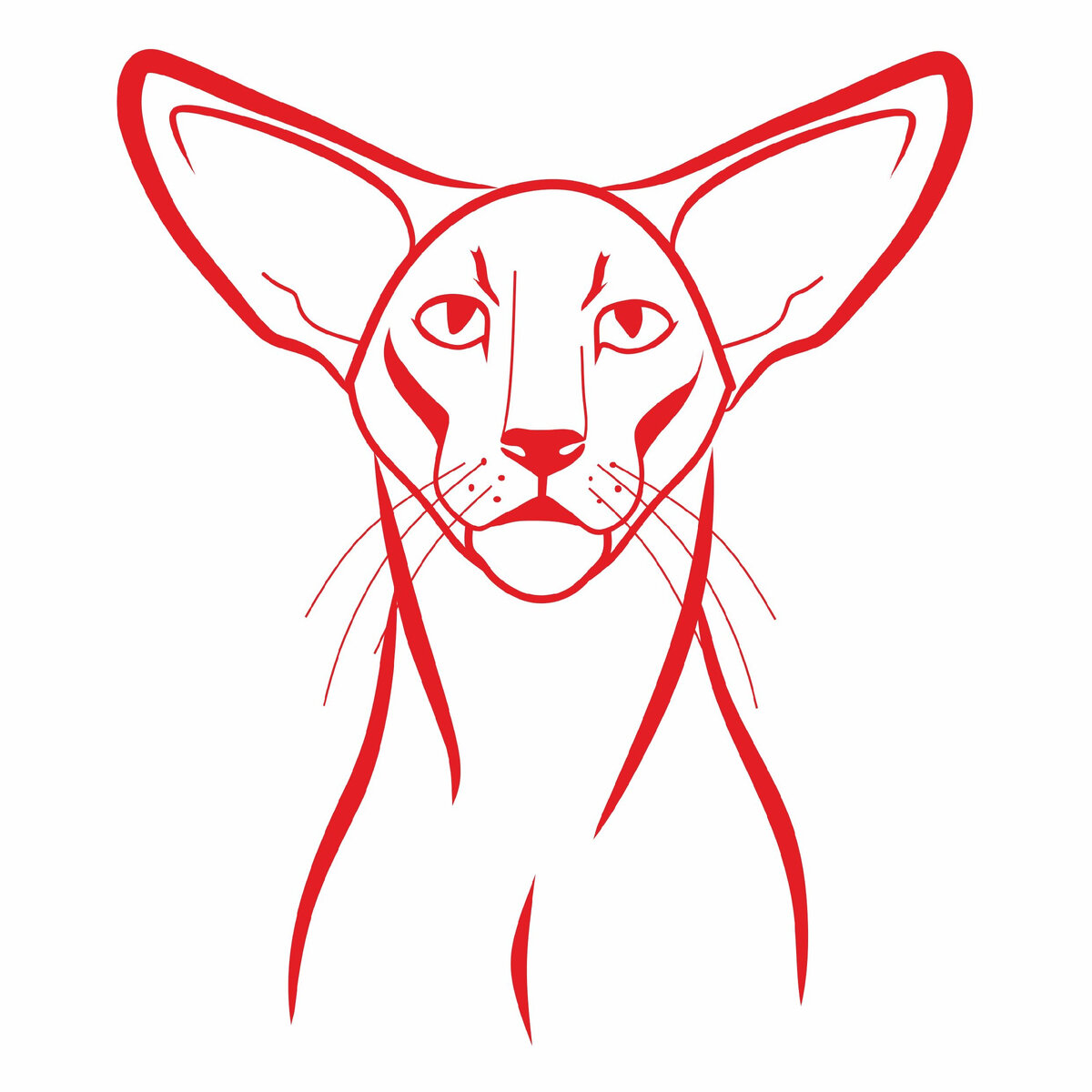 Картинка принадлежит Клубу Восточных Кошек "LEGION", город Москва