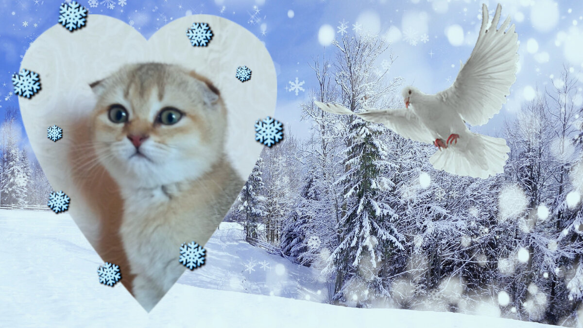 Крещение - один из главных православных праздников