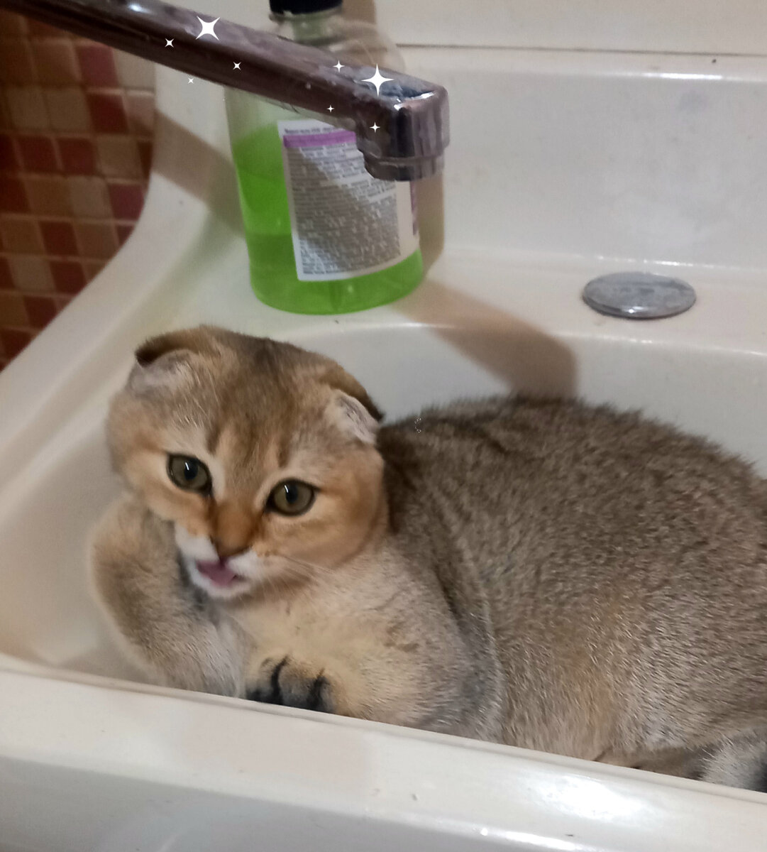 На Крещение даже в кране вода святая