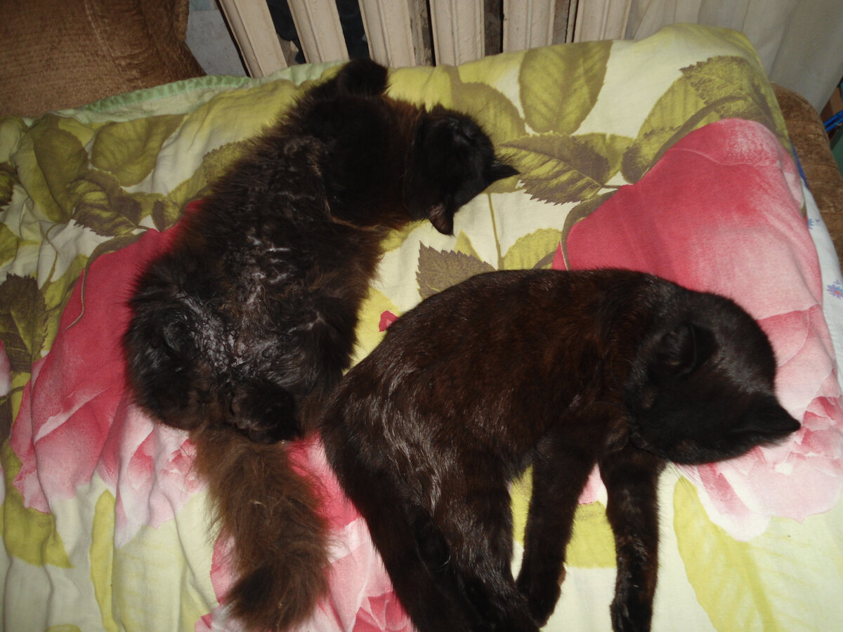 Вот не знаю, правда, кто здесь кто)))