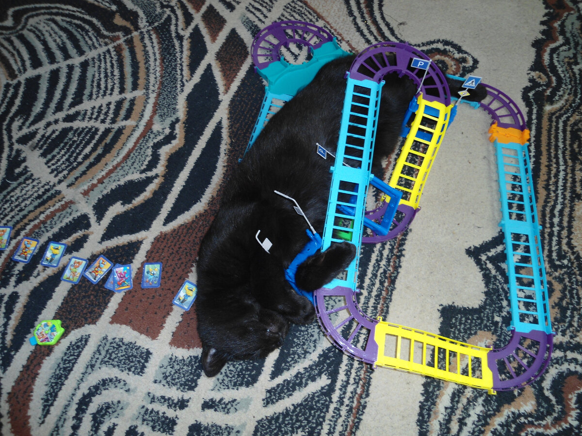 Строит дорогу к Мегеровне)))