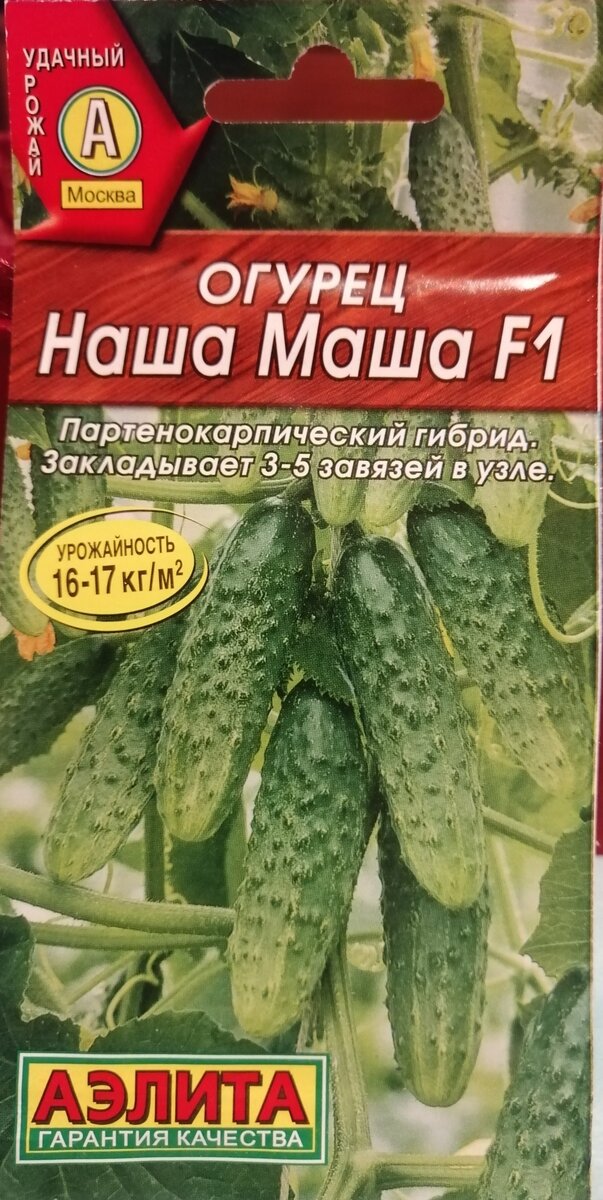Огурцы какие сорта Огурцы какие сорта