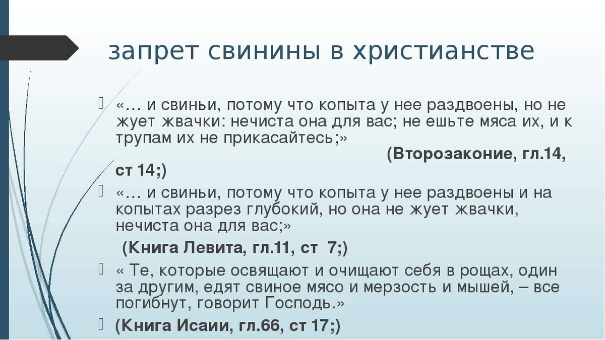 Можно православным есть мясо. Запрет свинины в Библии. В Библии про свинину. Библия запрещает есть свинину. Свинина в Библии запрещена.