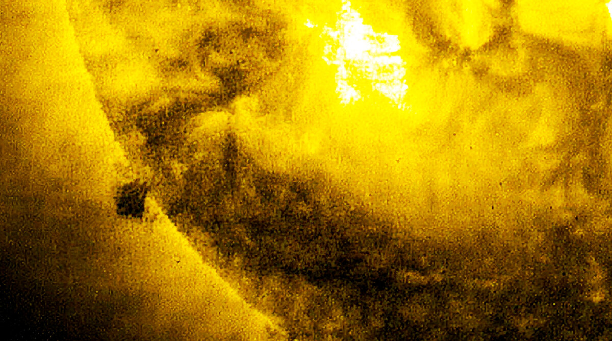 Звезда около солнца. Фото NASA. Фотографии солнца вблизи. Новый снимок солнца. НЛО на солнце.