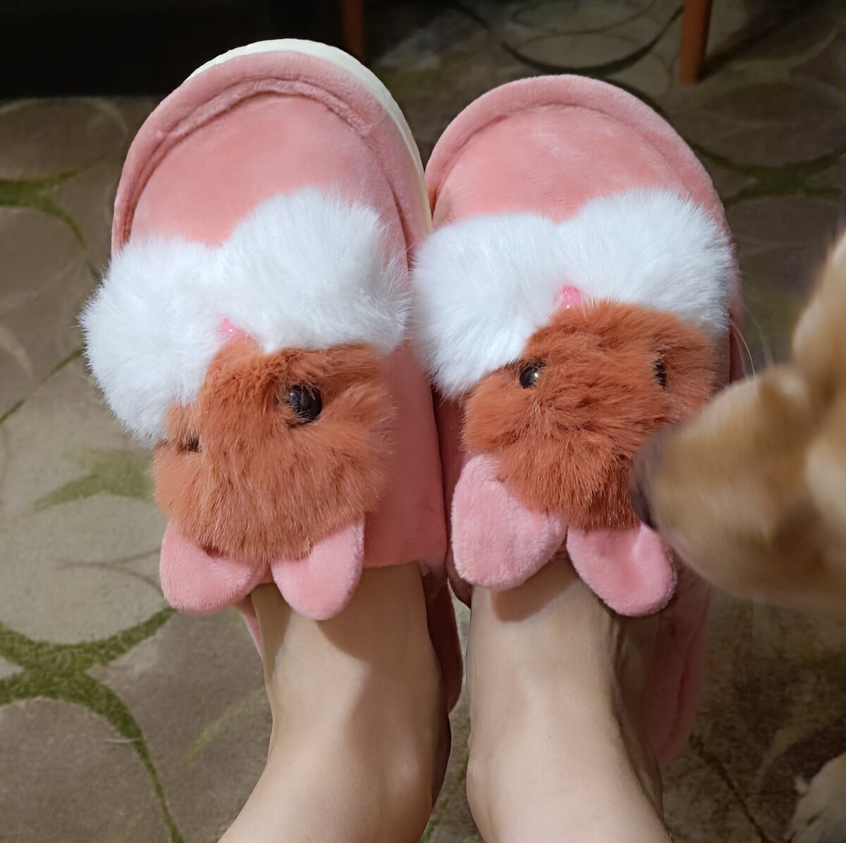 Моя маленькая эмоция, моя сбывшаяся мечта