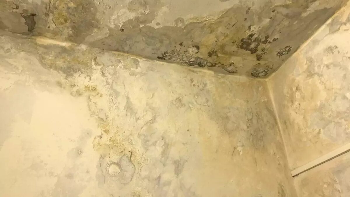     Горожане уверены, что раз в таком состоянии находится само Управление, то бомбоубежища выглядят еще хуже.