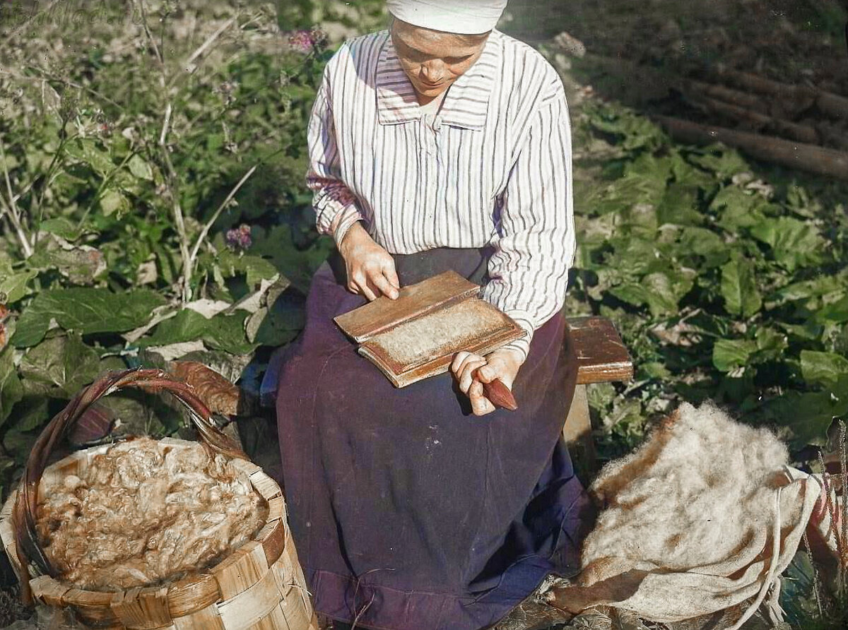 Книги жизнь крестьян