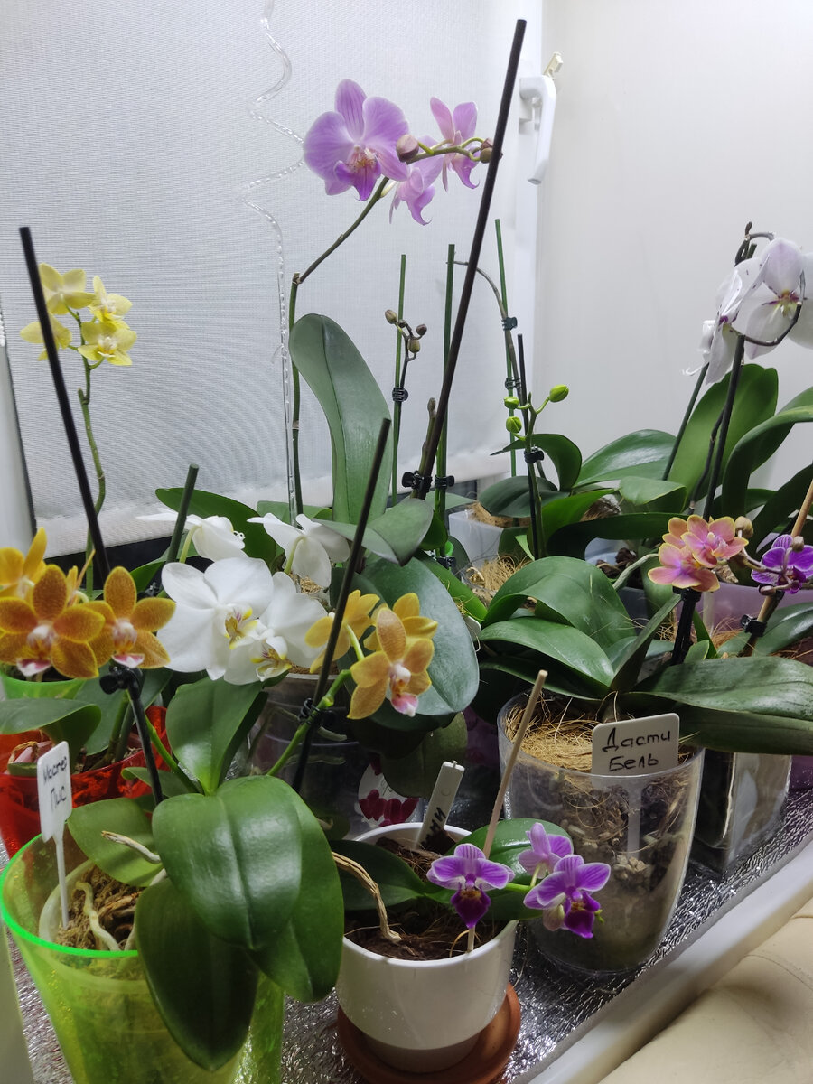 На очень небольшом пространстве цветущее лето. 