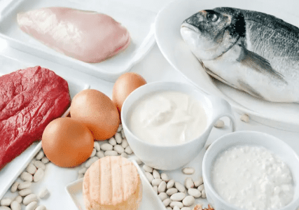 животный белок