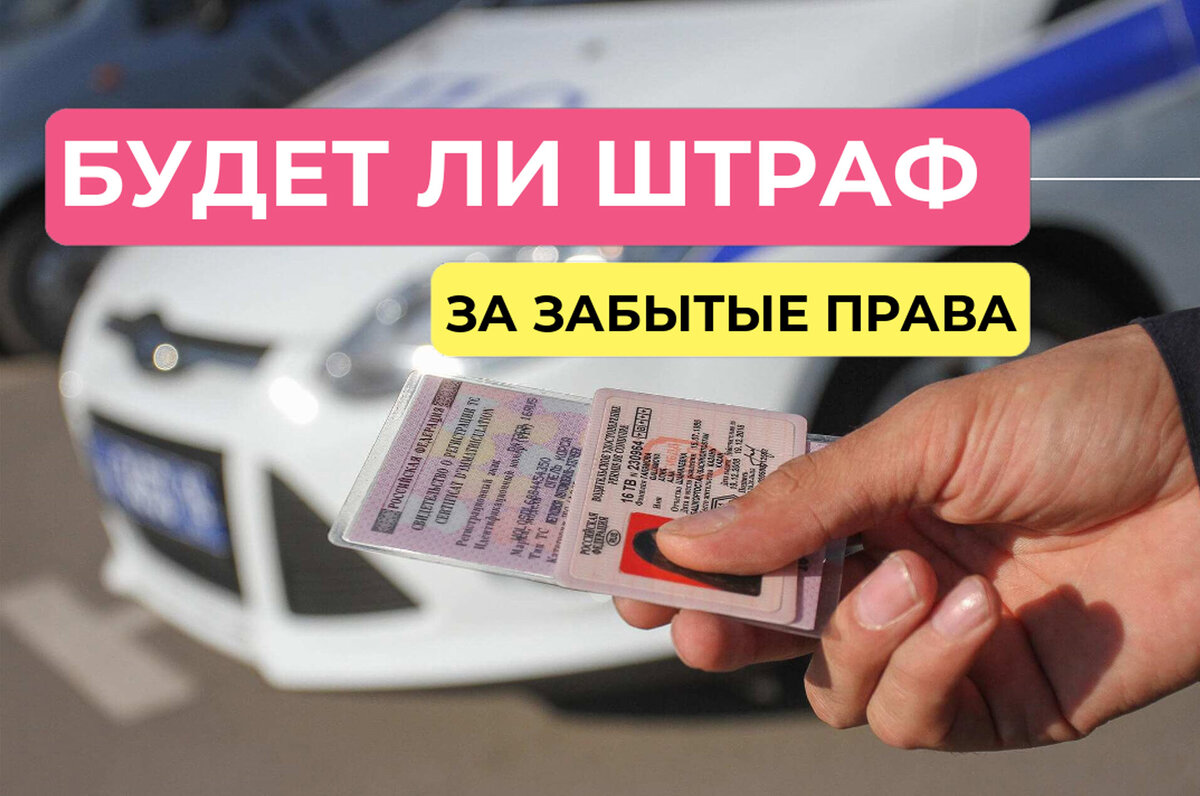 Будут ли в текущем году давать штраф, за забытые дома права или СТС | 🚨WEB  AUTO - все про автомобили🚨 | Дзен