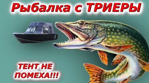 Рыбалка под тентом с новой лодки ТРИЕРА 431 фиш ЛЕГКО! УДОБНО! КОМФОРТНО!