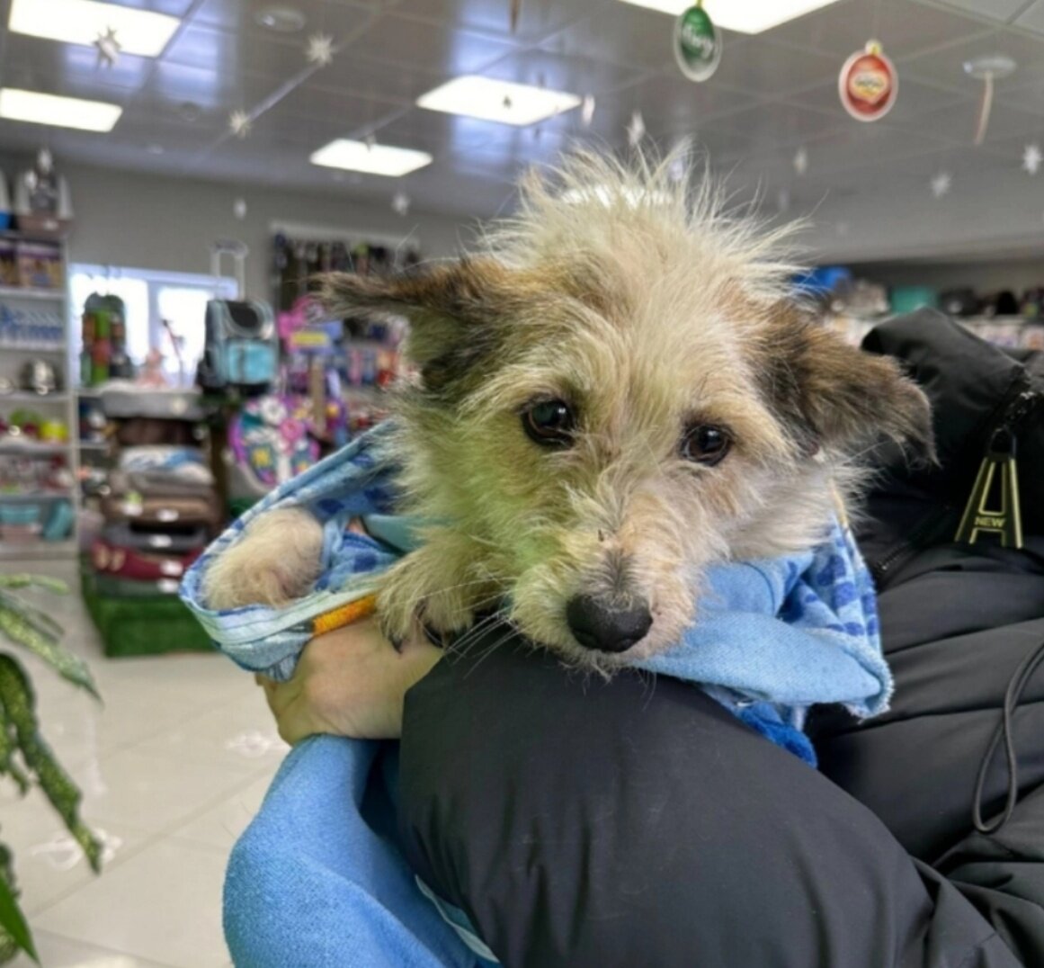 Вот она, наша героиня - Мару. Мы же сможем ей помочь?