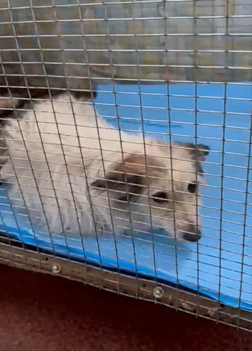 Малышку определили в тепло, видно что прибаливает