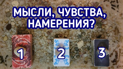 Мысли, чувства, намерения? | 3 варианта | Гадание онлайн | Таро расклад | Таро терапия Души