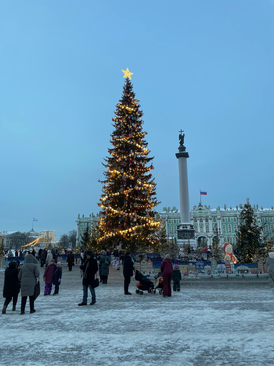 Мой путь каждую субботу. От мороза Александрийский столп побелел. 