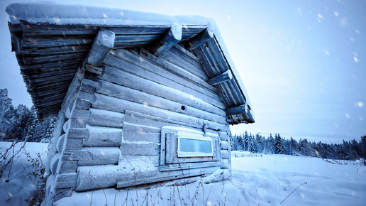 Таежка 8 дзен. Запеченная свекла сколько сахара. Таежка 8 дзен. Таёжка. Таёжка 8.